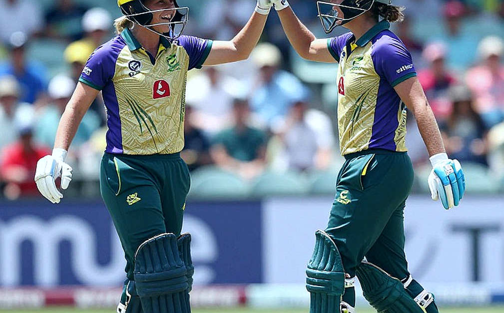 The Empty File, the Full Record: Where Cricket Reporting Draws Its Evidentiary Line The Empty File, the Full Record: Where Cricket Reporting Draws Its Evidentiary Line